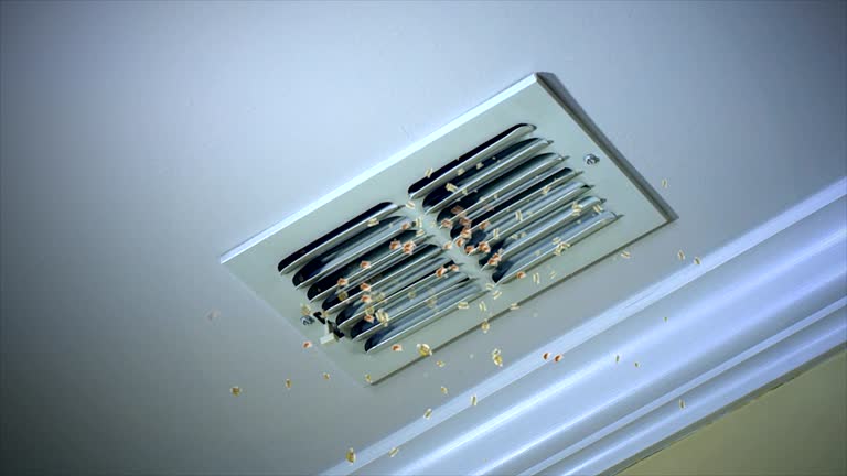 Best Best Air Duct Cleaning Company  in Walton Park, NY