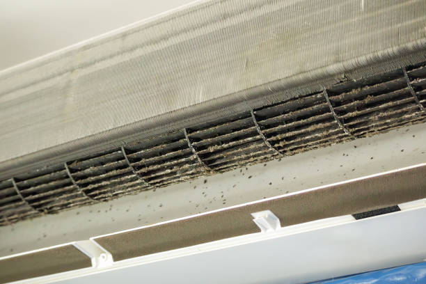 Best Affordable HVAC Duct Cleaning  in Walton Park, NY